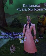 Rabbit Kan