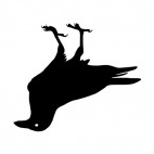 Crow