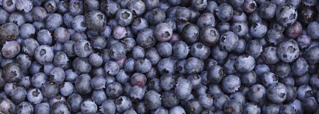File:Blueberries--1400x500.jpg