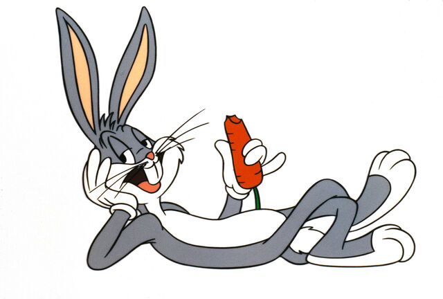File:Bugs.jpg