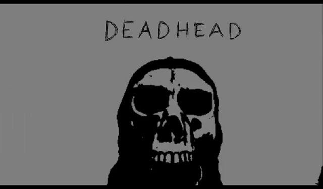 File:20111116201558!HAPPYBIRTHDAY Deadhead.png