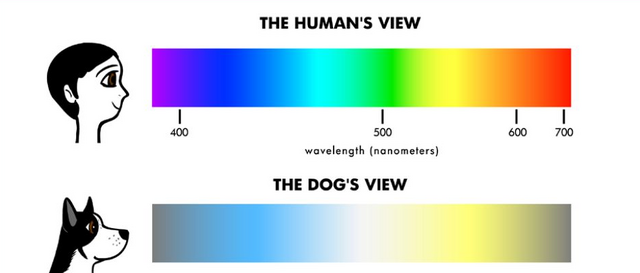 File:Eyesight.png