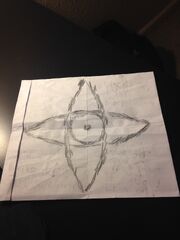 IMG 0242