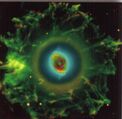 Cats-eye7