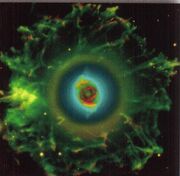 Cats-eye7