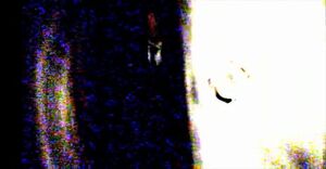 Distortion
