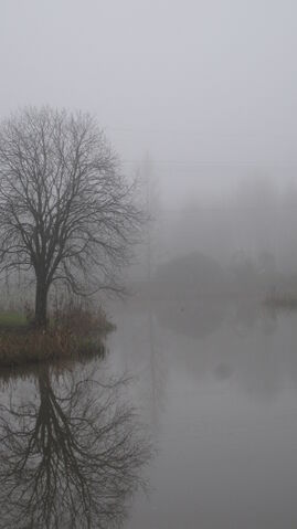 File:Silent Hill 2.jpg