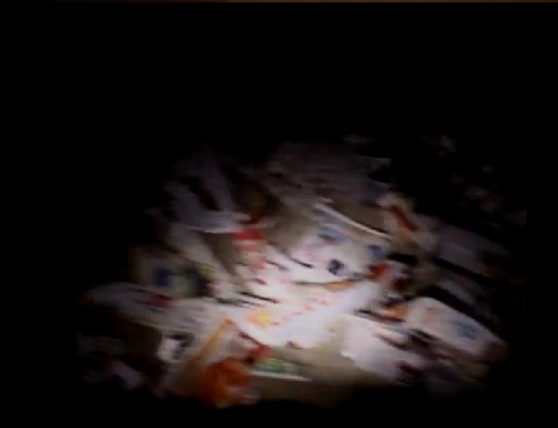 File:Brians garbage.png