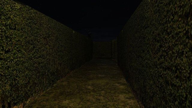 File:Hedge slendermanshadows.jpg