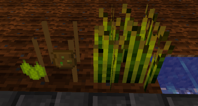 File:Hopsharvest.png