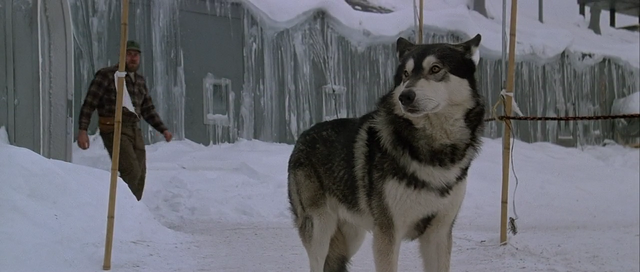 File:John-carpenters-the-thing-1982 jed again.png