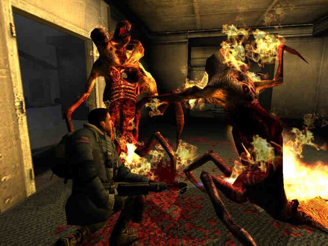 File:FireFight.jpg