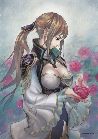 File:Wang Yuanji - DW7.jpg