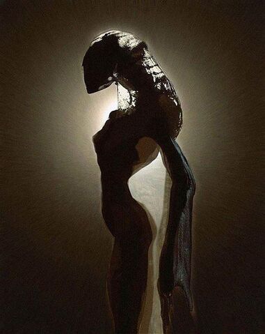File:Female Zerg silhouette.jpg