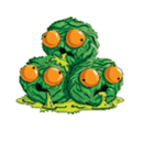 Yuck Sprout Artwork