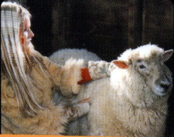 File:Ellies2 (8).JPG