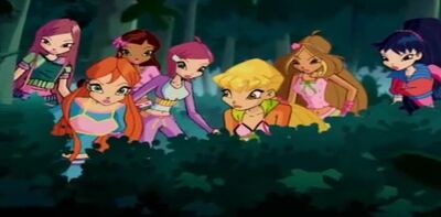 Winx picnic