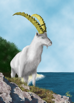 Bock