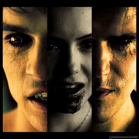 File:Vampire Faces.jpg