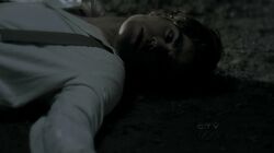 Fratelli Di Sangue-Stefan Salvatore.jpg
