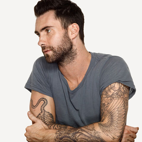 File:Adam Model Style.jpg