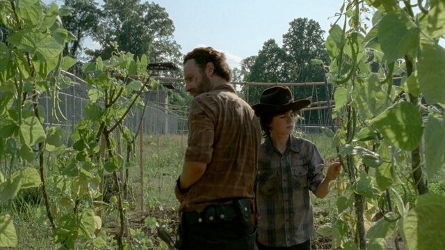 Archivo:Thewalkingdead0405-2094.jpg