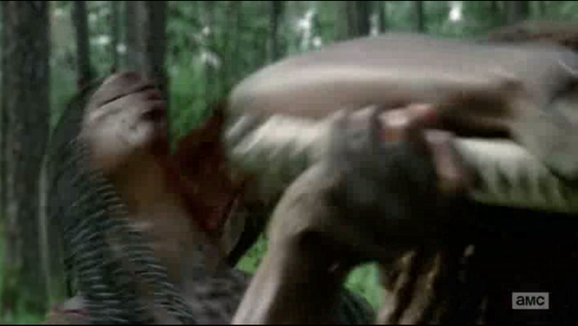 Archivo:TWD 1355.png