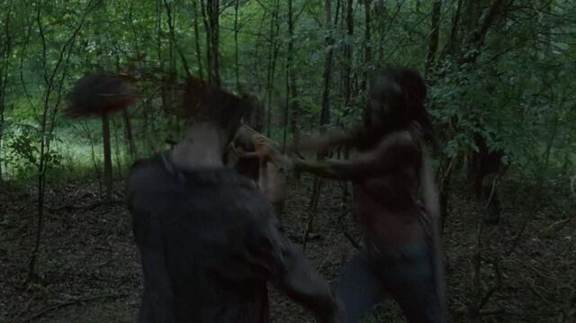 Archivo:TWD233.jpg