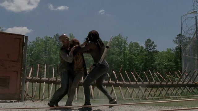 Archivo:TWD 0493.jpg