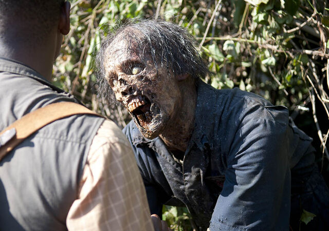 Archivo:TWD 404 GP 0611 0248.jpg