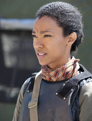 Archivo:TWD 401 GP 0513 0451.jpg