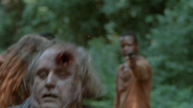 Archivo:TWD-1317.jpg