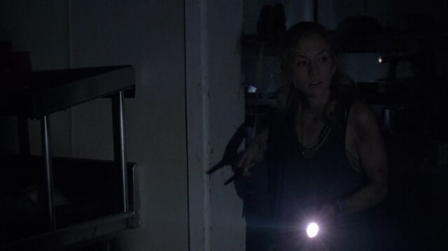 Archivo:TWD 0621.jpg