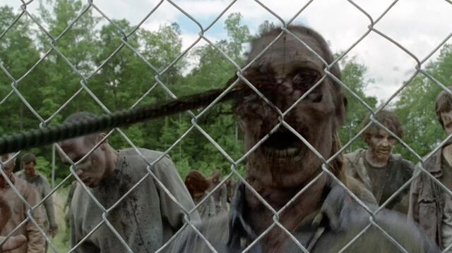 Archivo:TWD 0197.jpg