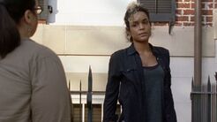 Twd0704-1766.jpg