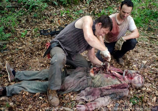 Archivo:The-walking-dead-s02e01-foto-12.jpg
