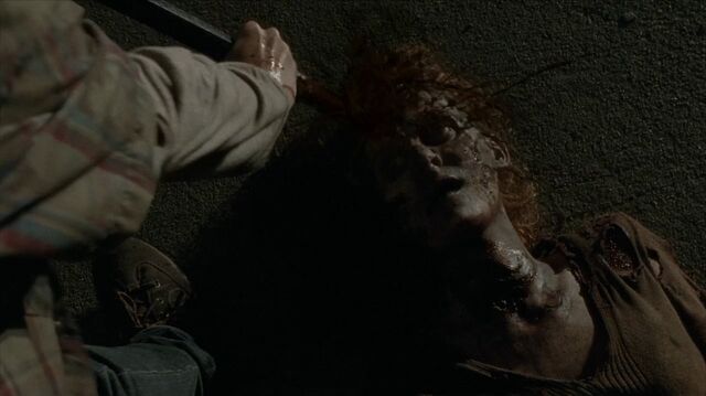 Archivo:TWD-1786.jpg