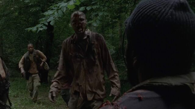 Archivo:TWD-2620.jpg