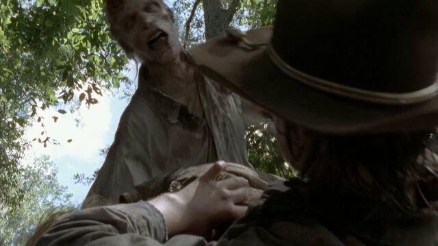 Archivo:Twd0409-1347.jpg