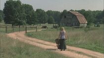 Twd206 0095.jpg