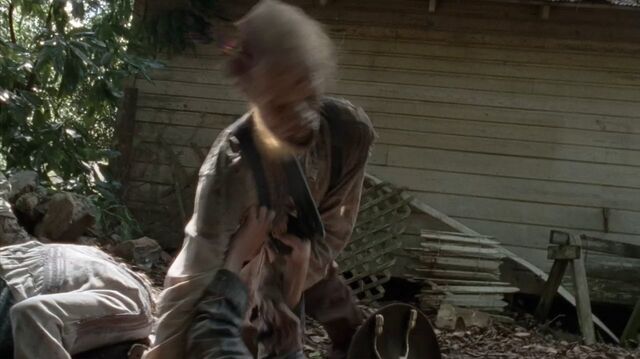 Archivo:TWD-1333.jpg