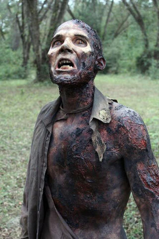 Archivo:The-walking-dead-2.jpg
