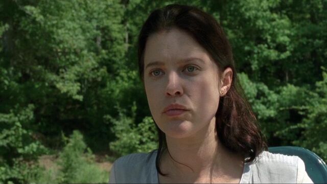 Archivo:Thewalkingdead0408-1117.jpg