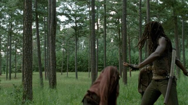 Archivo:TWD-2152.jpg