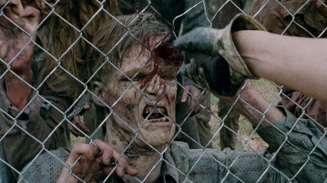 Archivo:TWD 0250.jpg