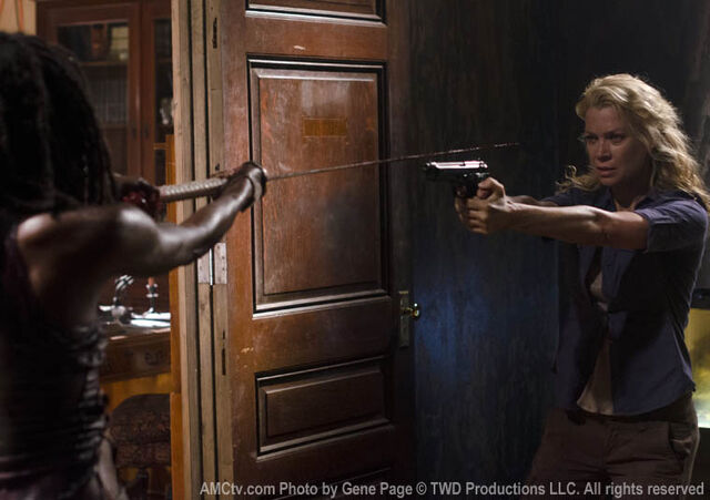 Datei:Michonne und Andrea 308.jpg