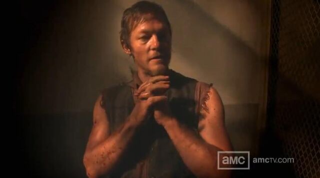 Datei:Daryl S3.jpg