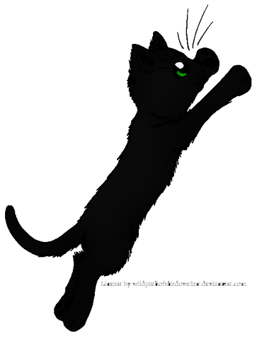 File:Hollyleaf.warrior.png