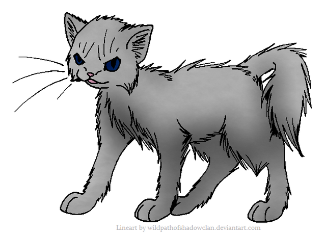 File:Grey.rogue.png