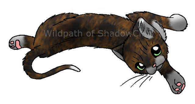 File:Tortoiseshell cat.personal.pxd.png